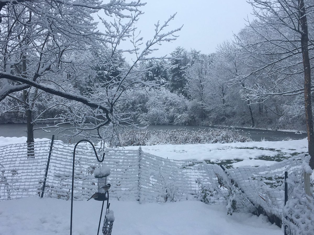 I do love when there's snow on every little branch and twig