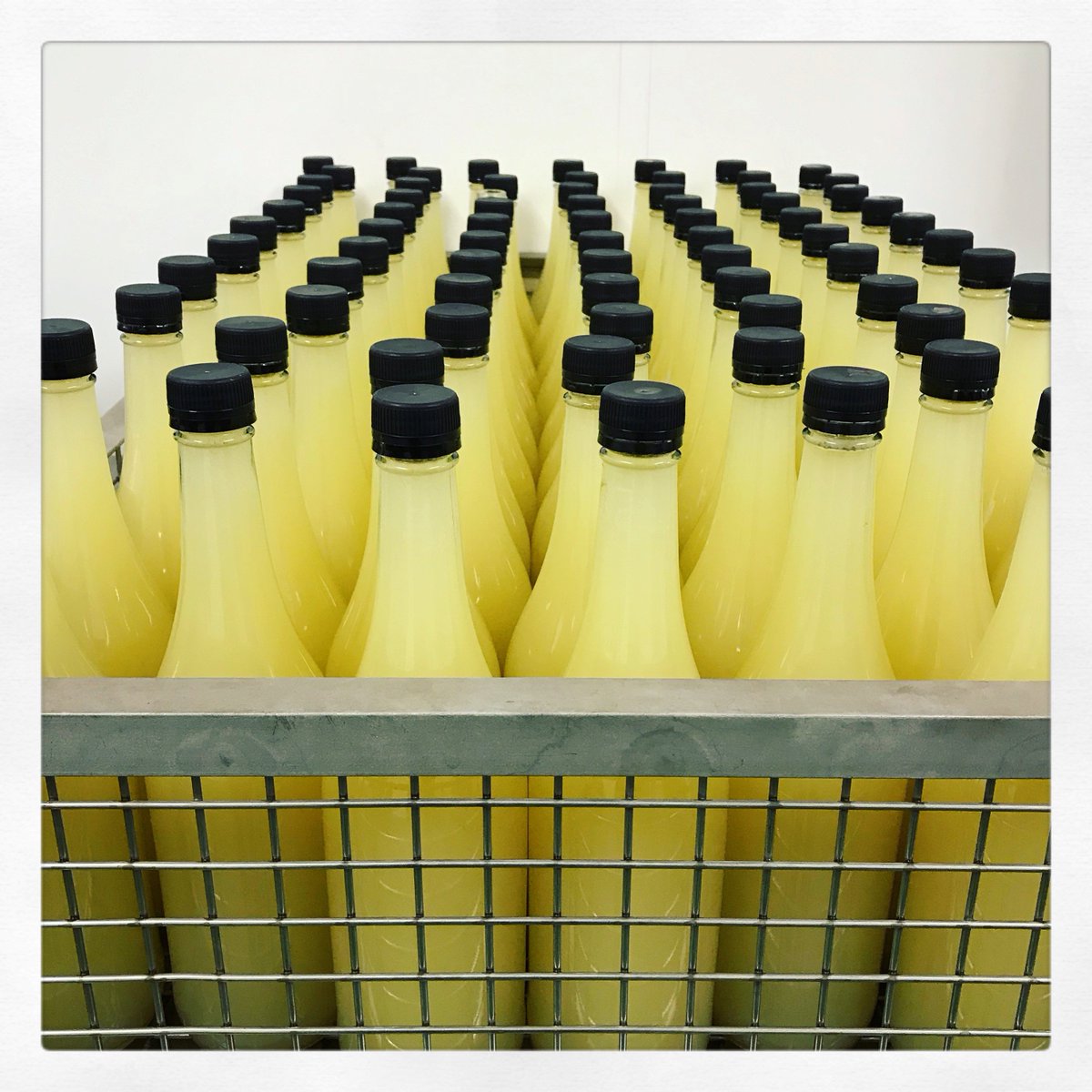 Our long-awaited #OriginalBramley juice is nearly back in stock! We have pressed & pasteurised this year’s naturally sweet #BramleyApples with their distinctive tangy taste & are ready to date-code, label & box. Watch this space! 😋🍏#GreatBritishApples #NoAddedSugar #AppleJuice