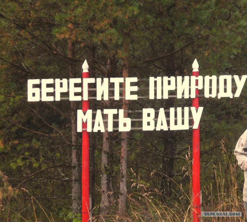 Берегите природу мать вашу картинки