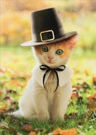 MayfairVet's tweet photo. @MayfairVet is closed on Thursday for Thanksgiving.  We will be open on Friday 11/23/18 and half day on Saturday 11/24/18. #Thanksgiving #TurkeyDay #CaryNC https://t.co/D3uFmPMDTn