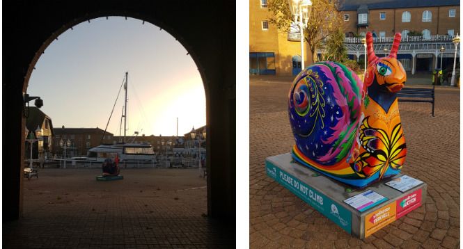 Love_Brighton's tweet photo. Ahead of the @snailspacebh farewell event we are looking at some of our favourite snails &amp; today's is... Prisnailla
https://t.co/vI0zRq5kqr
#BeMoreSnail @BrightonMarina https://t.co/tsUm1QJA1e