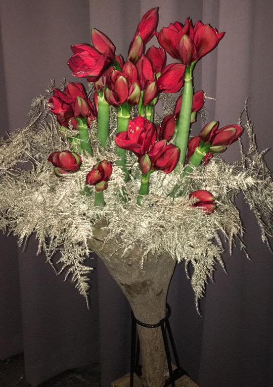 Je hebt het plan om uw #interieur tijdens de #feestdagen #kleurrijk op te #fleuren. #Romberama, de #amaryllis specialist biedt voor u dank zij de opgebouwde #expertise  hun zijn #originele #ideeën aan. Kom eens langs of contacteer ons via bit.ly/2ywbMcz