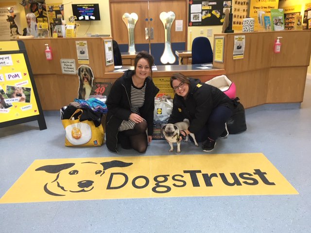 Great to see the lovely Lucy <a href="/DT_Salisbury/">Dogs Trust Salisbury</a> (&amp; not forgetting the beautiful Lola the pug) as we dropped off our donated goods ahead of the Christmas fair! Thanks to all those who supported us with donations, what an amazing lot you are!
#charitytuesday #DogsTrust #TuesdayThoughts