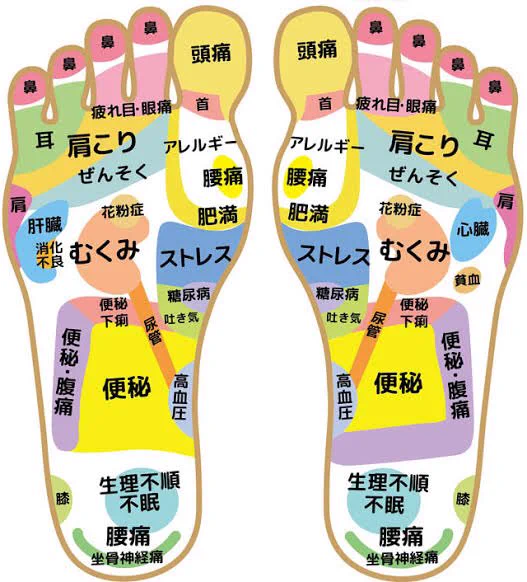 この図が優秀すぎる…！どこが何に効くのか分かりやすい足つぼ図！