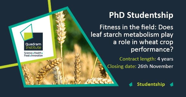 #PhD available with <a href="/HazLabQI/">HazLab</a> using wheat #genomics to study how leaf #starch #metabolism affects fitness to aid development of healthier foods quadram.ac.uk/vacancies/haza… Apply by 26 Nov