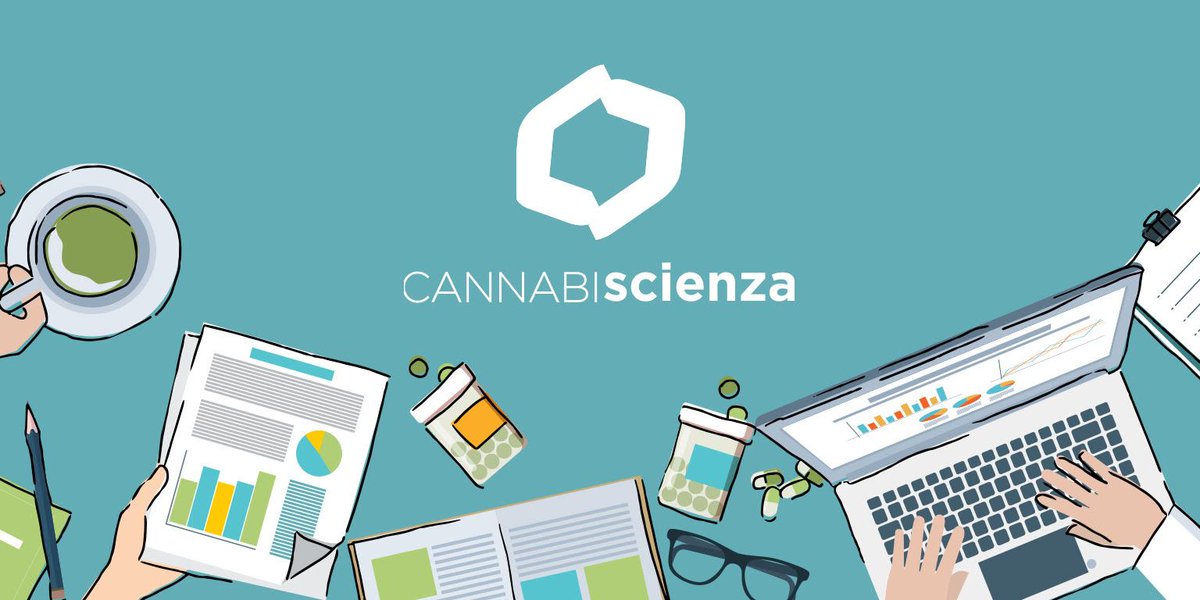 Cannabiscienza è online: la prima piattaforma italiana dedicata alla #formazione e alla #divulgazione scientifica sulla cannabis in medicina e il sistema endocannabinoide per i professionisti della salute e per chi vuole approfondire le proprie conoscenze. buff.ly/2RY6te4