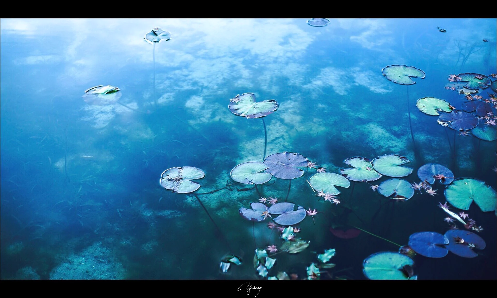 綺麗すぎる！これは絵にしか見えない・・・絵画の世界へようこそ！