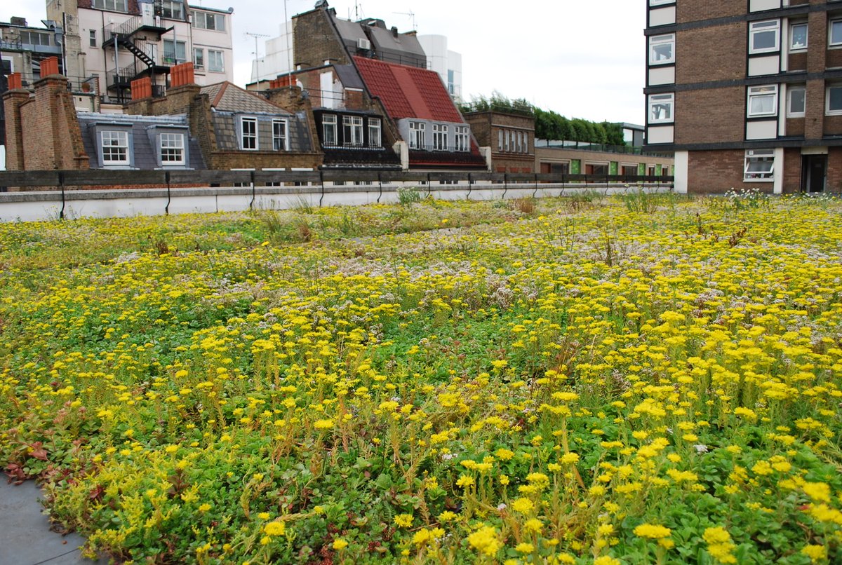 OPTIGRUN GREENROOFS tweet media