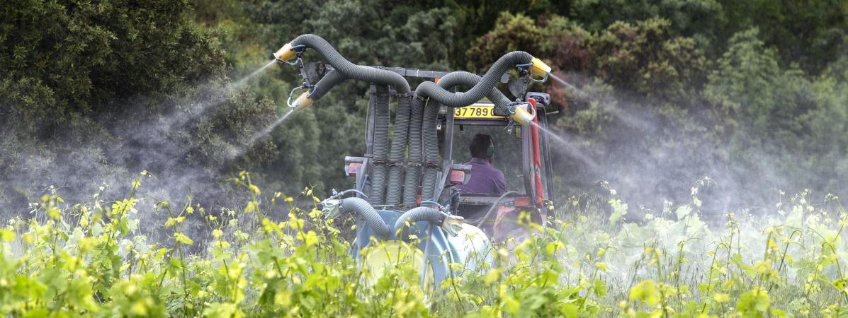 Le palmarès des départements champions de l'achat de glyphosate #glyphAwards : Plus mauvais élèves : #Vaucluse #Gironde et #Aude. Mentions spéciales aussi à #Martinique et #Reunion. Bonnes nouvelles en revanche pour #Lozere #Cantal et #CorseduSud
francetvinfo.fr/economie/emplo…