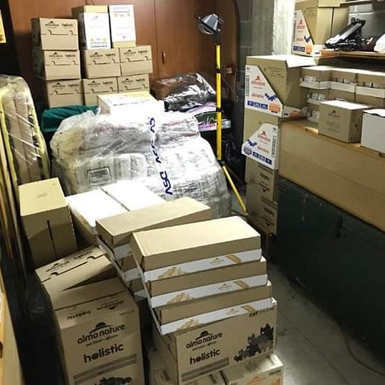 Baffi Randagi tweet media