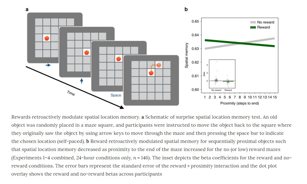 "Reward retroactively prioritizes memory for objects closest to the reward" in humans https://go.nature.com/2A6SKKS New paper from Daphna Shohamy lab at Columbia!