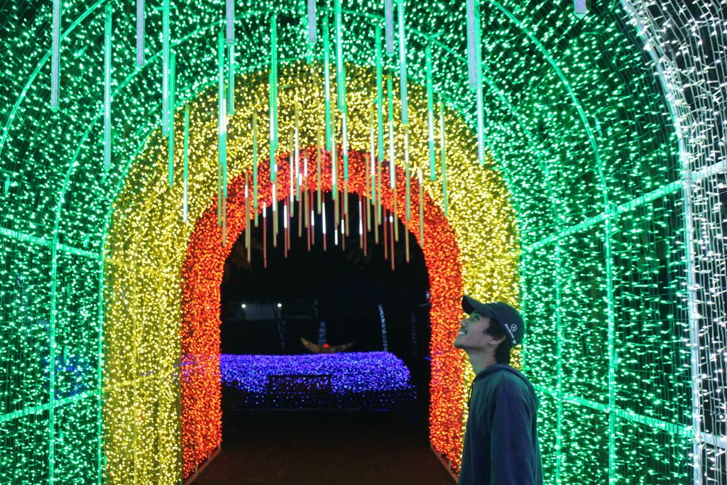 JogjaUpdate's tweet photo. Taman Lampion Kusuma Edu Park, Yogyakarta.   ~@GawulWekWek_25
https://t.co/woo1V0z52q