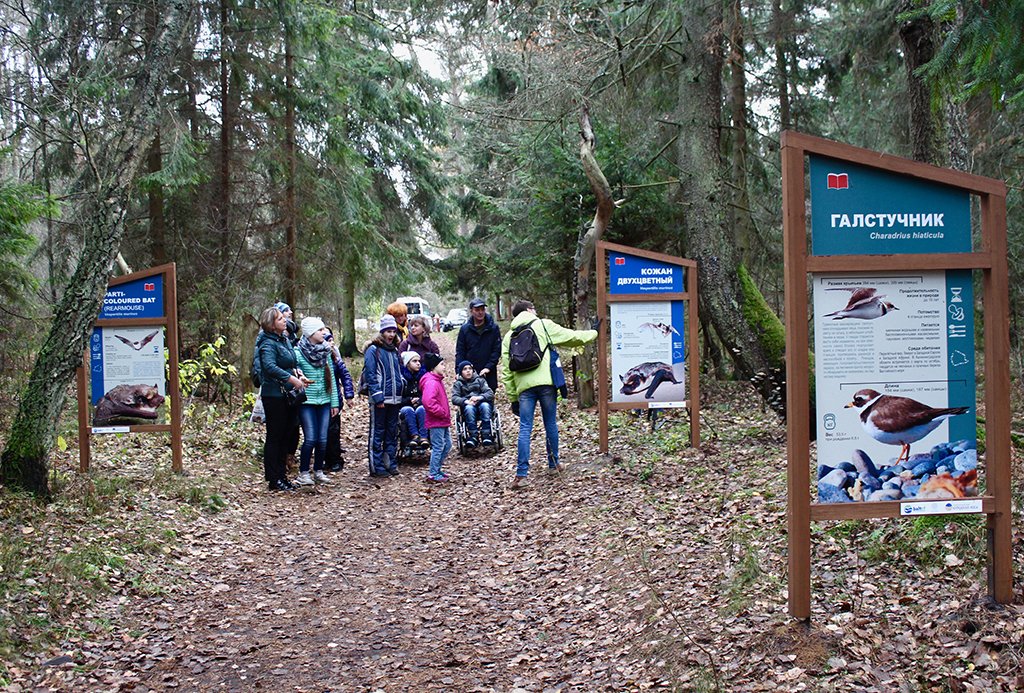 's tweet image. Group of children 👦👧 with disabilities participated in the 1st experimental outdoor 🎒 lesson in the national park @park_kosa on November 15. On the King's Forest 🍁 tourist route they were introduced to the unique nature 🦊🐗 of the #CuronianSpit