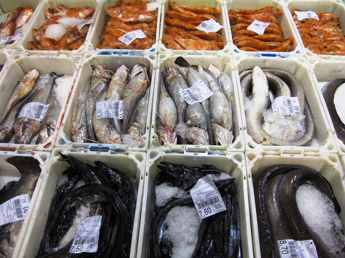 Lydia_ChE's tweet photo. [1/4] Las negociaciones de #AgriFish sobre los límites de pesca de especies vulnerables de aguas profundas nos llevan a mal puerto. Los ministros de pesca europeos acordaron ayer continuar la #sobrepesca más allá del 2020 https://t.co/wHrbKkXiYV #DeepSea2018 #CFPreality https://t.co/wjp2ItKXkV
