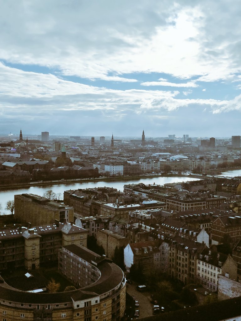 Dr. Kaarina Kowalec 🧬👩‍🔬 tweet media