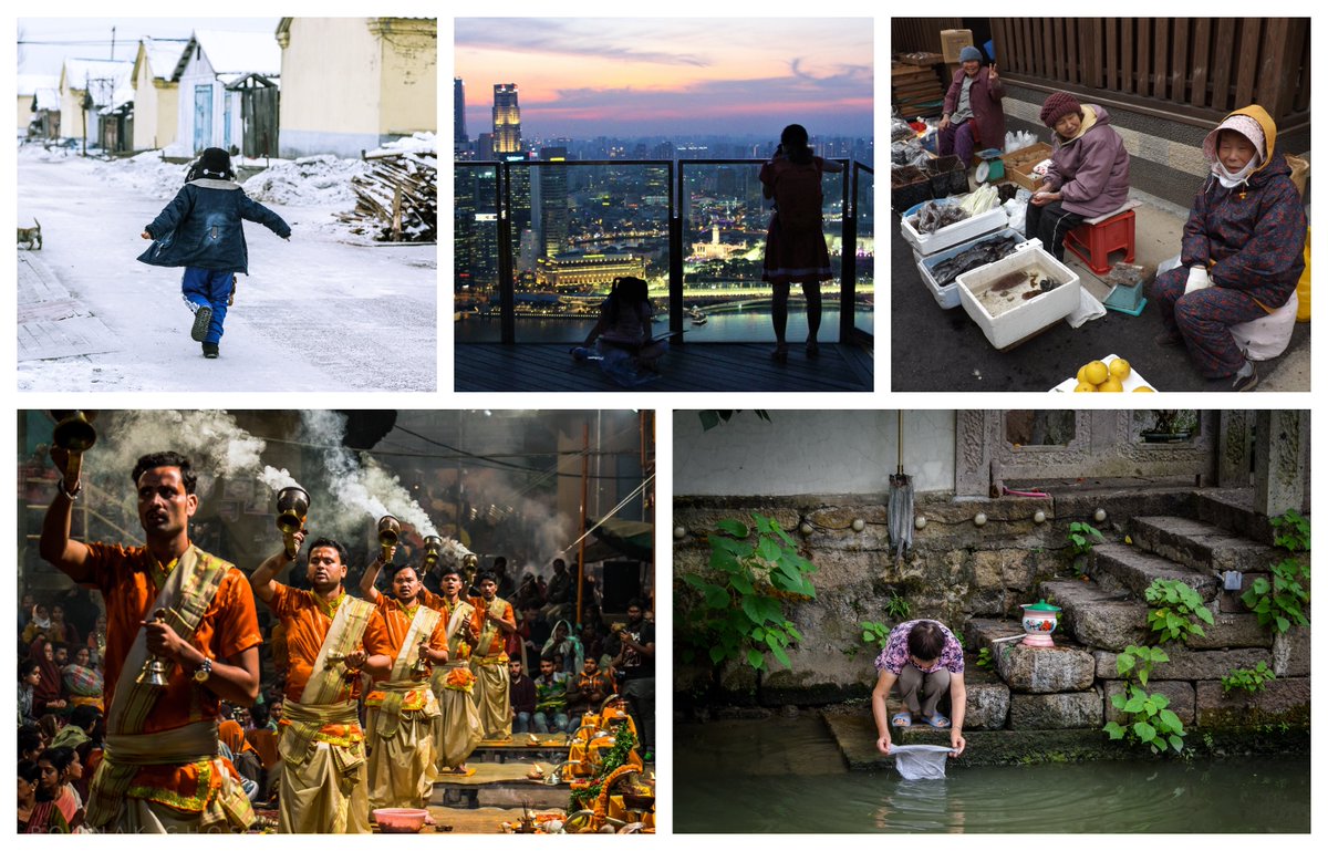 York_IGDC's tweet photo. The top 20 #IGDC_PhotoComp photographs have now been shortlisted! Here are 5 of the fantastic entries we've received. To view the rest, visit our FREE exhibition, 19-22 Nov @UniOfYork. Vote for your favourite image to win the People's Choice Award now: https://t.co/U5amVKFpXl https://t.co/LE2tXZCJ64