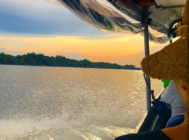 PraQueRumo's tweet photo. No último feriado 10 aventureiros aceitaram o chamado e iniciaram uma grande aventura para conhecer o Parque Nacional de Navilhanas e o Parque Nacional do Jaú.

Os dois são uma das Maiores Unidades de Conservação da Amazônia, que estão sobre a responsabilidade do ICMBio.

Pa… https://t.co/V9vlZMDNQ3
