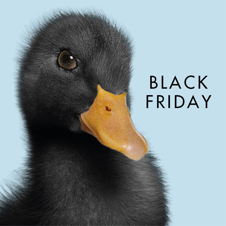 anecblau's tweet photo. ¡Aprovecha el #BlackFriday para renovar tu armario, cambiar de móvil o comprarte el videojuego de la temporada! 👚🎮📱 Ven a nuestras tiendas y disfruta de ofertas y descuentos exclusivos. Más información aquí: https://t.co/1icpx6lyCY 🔝 #EnjoyQuackLife, enjoy #ànecblau! 🐥 https://t.co/0KDIEkQyQX