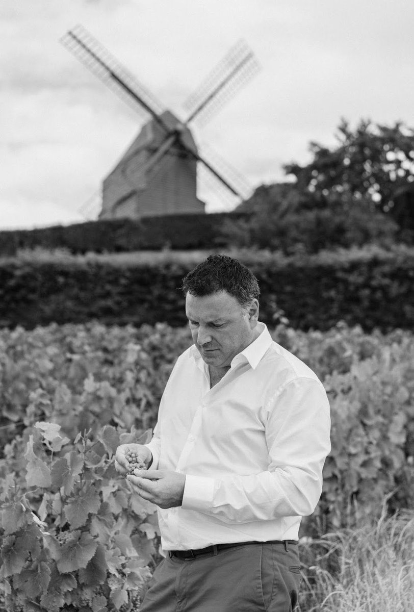 About Champagne REGI : What’s our specificity ? We belong to the small group of wine producers certified grand cru, it means that all our grapes come from communes which possess the best vines.
#champagneREGI #champagne #grandcru #luxurydrink #champagnemoments #champagnelovers