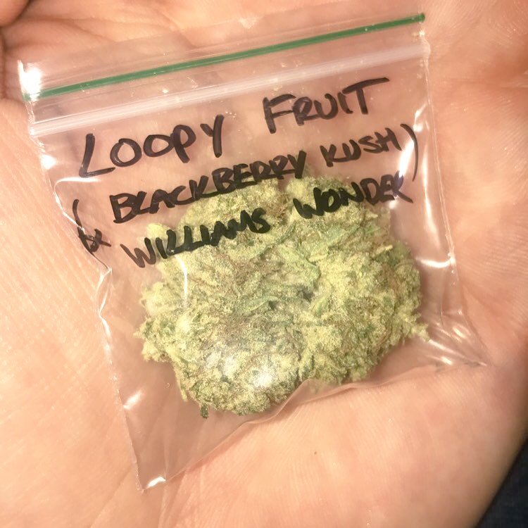 AnthonyRodman7's tweet photo. Yoo Cali wadup.  Hook up for some pretty good shit.  No dulling https://t.co/q8V4Ca1i44