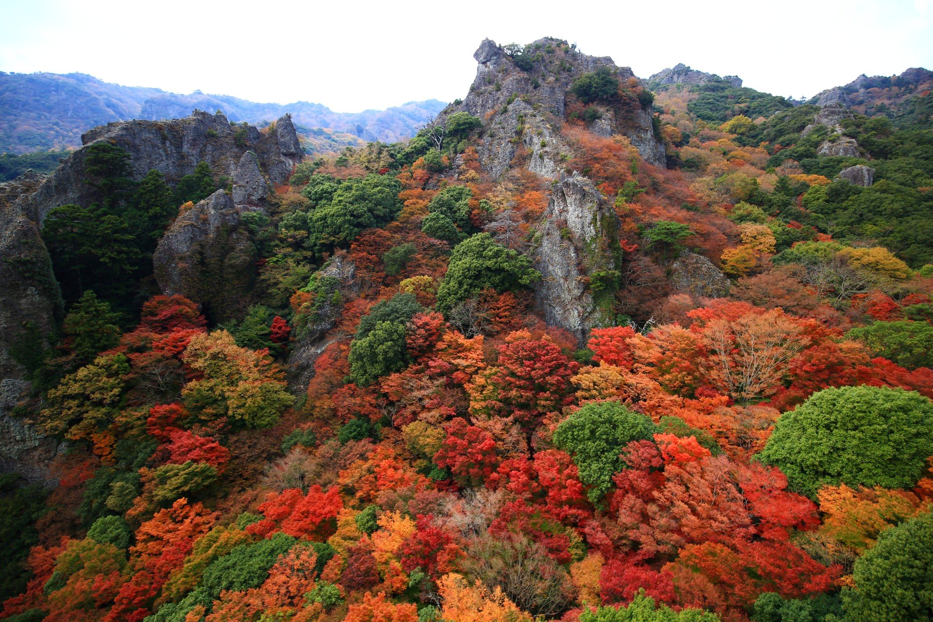 京都もよう Kyoto Moyou 番外編 香川県 寒霞渓の紅葉 モコモコのカラフルなもみじ 18 11 撮影 寒霞渓紅葉 寒霞渓ロープウェイ 寒霞渓紅葉 紅葉 香川県 小豆島 ロープウェイ 紅葉18 紅葉まつり 18秋 Autumnleaves