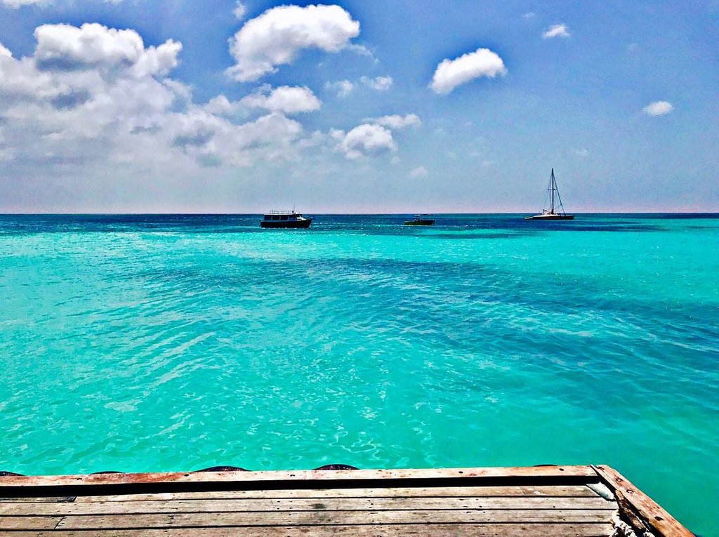 aruba's tweet photo. #Aruba receives more sunshine than any other island, with the greatest likelihood of precipitation between October &amp; January. Minimal rainfall is a trademark of the island, offering clear skies and rays of sunshine practically almost every day of the year! Pic @kimberlyanne_78 https://t.co/Y8J4Y0PR6b