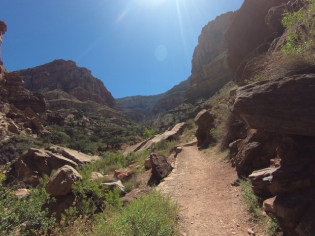 CFCoachEd's tweet photo. Thankful for Adventures - https://t.co/kmvmxtfpdC https://t.co/bcklHov1Hj