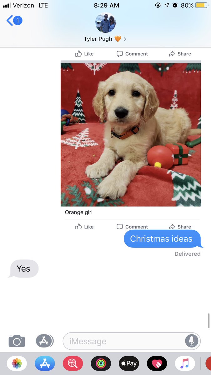 ashleynbishop's tweet photo. Eiditing texts from my boyfriend in my favor ❤️🎄 https://t.co/9dz86kaitC