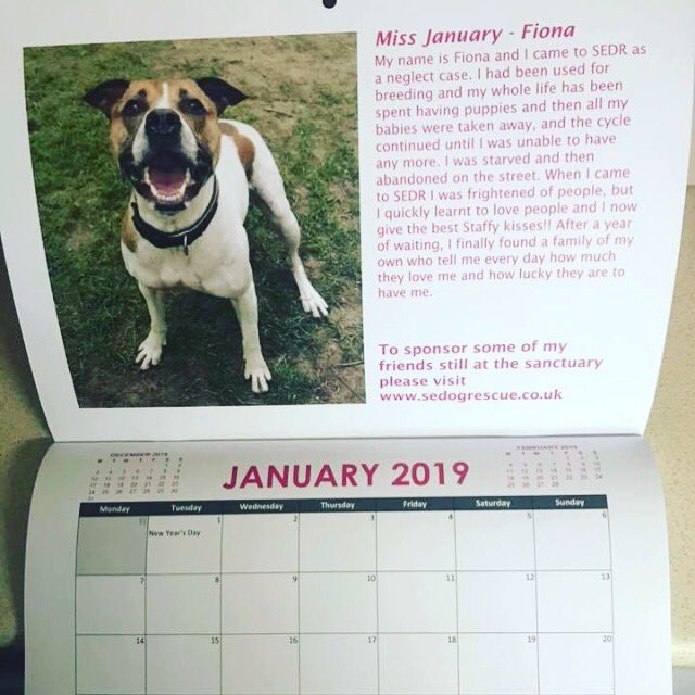SouthEastDogRescueSEDR (@eastsedr) on Twitter photo The Calendars have arrived!!! They are £8 each or £14 for 2, including P&P.... Get yours now! E-mail southeastdogrescue@hotmail.com or look at our website or FB page!!! Great Christmas gift!!!! 🎄 The Calendars have arrived!!! They are £8 each or £14 for 2, including P&P.... Get yours now! E-mail southeastdogrescue@hotmail.com or look at our website or FB page!!! Great Christmas gift!!!! 🎄