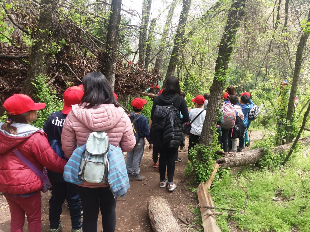 AsocParques's tweet photo. Disfruta con tu curso de los circuitos de Educación Ambiental que imparten nuestros monitores recorriendo nuestros senderos.Ingresa a nuestro sitio web e infórmate de cómo hacerlo. #ParqueCordillera #EducaciónAmbiental #EdAmbiental #Naturaleza https://t.co/7E8rlRHELB