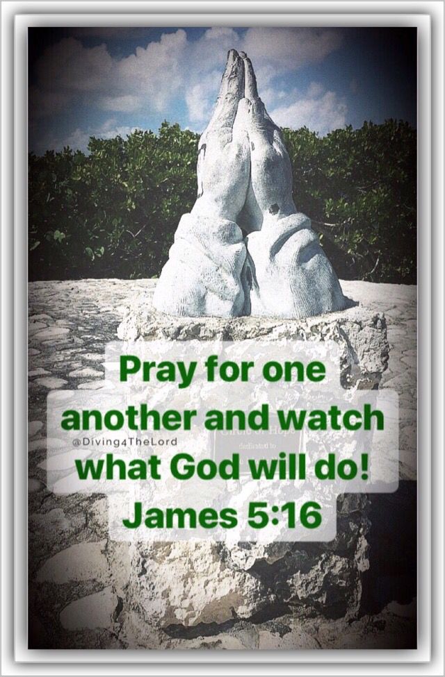 Diving4TheLord's tweet photo. James 5:16 #VerseOfTheDay #Pray #BVD #TodaysWord #DailyVerse #DailyScripture #DiveInTheWord #PostHot #DiveTheBibleDaliy #TakeTimeTuesday #AlwaysPray #WalkWithChristDaily #Dive
#NeverGiveUp #KeepPraying #WhenWePray #TurksAndCaicos #DiveDaily #BibleDiving #Diving #RealDiving https://t.co/3BjIsVuo8Y