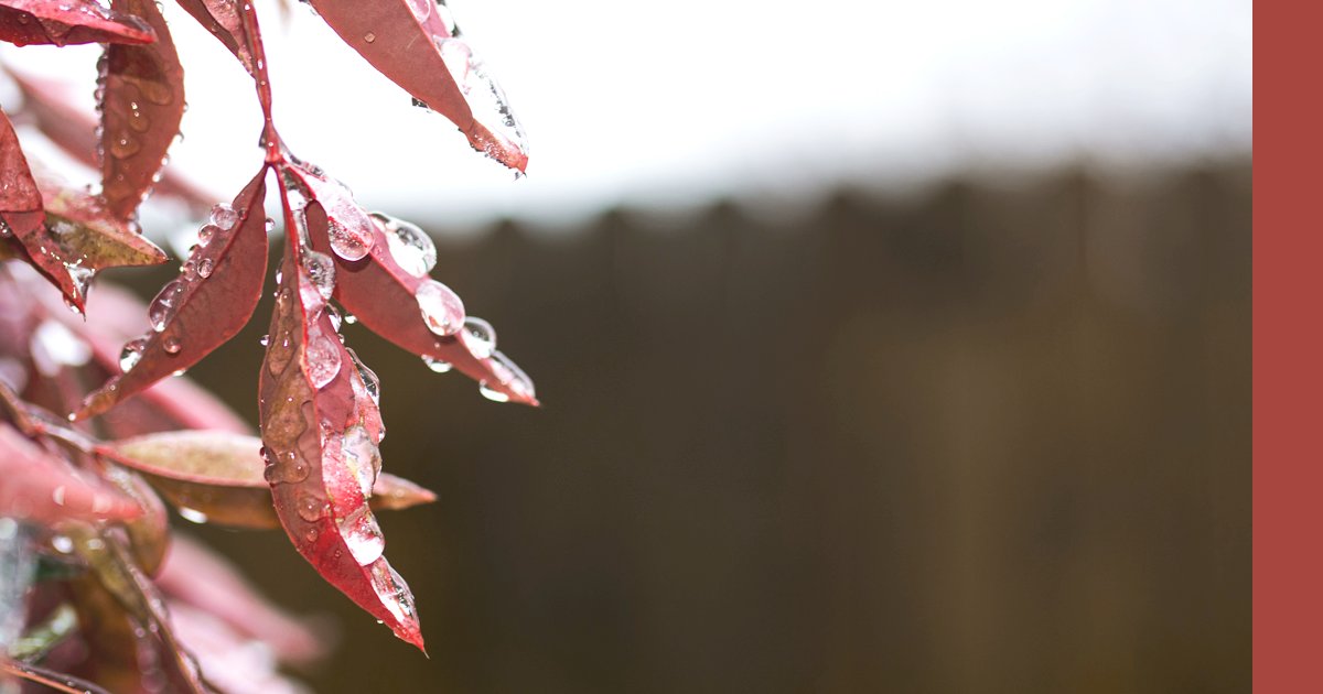 FlyingColPaint's tweet image. Dewy fall mornings are the best time to get out and enjoy the colours of this season. #BenjaminMoore #FlyingColoursPaint #narcityottawa #falldays