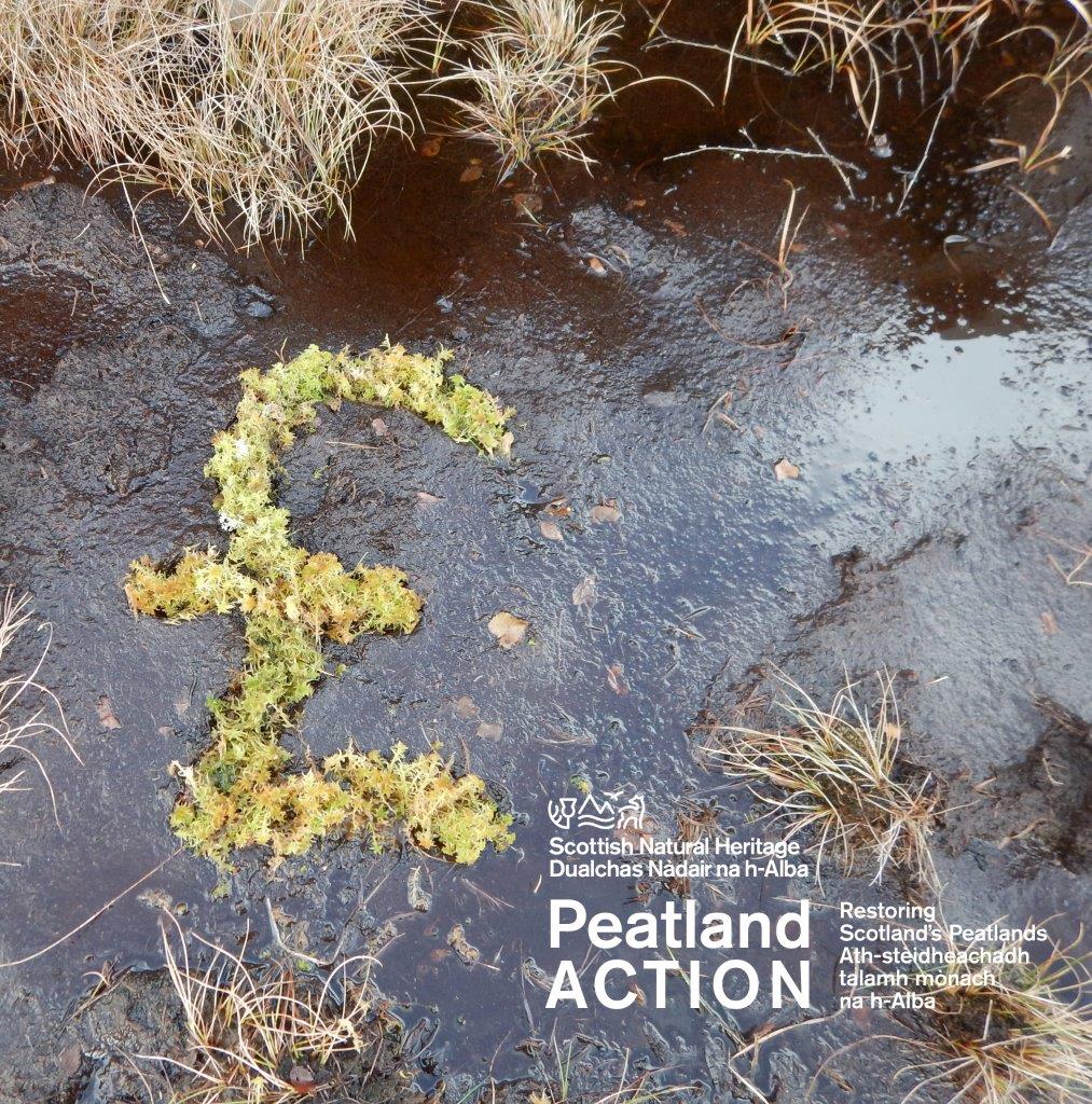 NatureScot's tweet photo. #PeatlandACTION - #restoringScotlandspeatlands, plus wider nature benefits inc. combating #climatechange, increased #biodiversity, #slowingtheflow of water into our towns/cities & reducing #floodrisk. #PreventativeSpend investing now for Scotland’s future https://t.co/5n8kTwNxXC https://t.co/41Tz3dbZTA