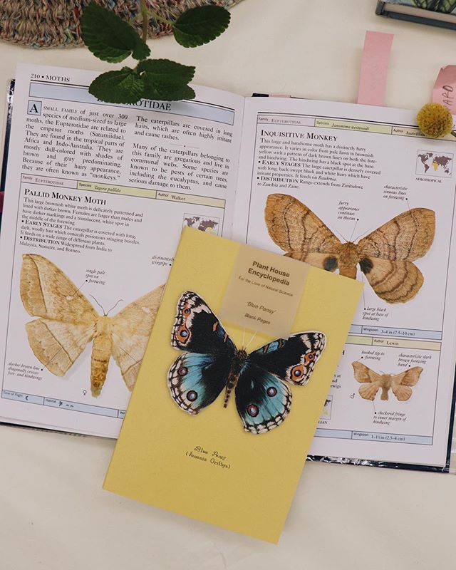 plant_house's tweet image. Blue Pansy #pocketnotebook ift.tt/2OUN4sz