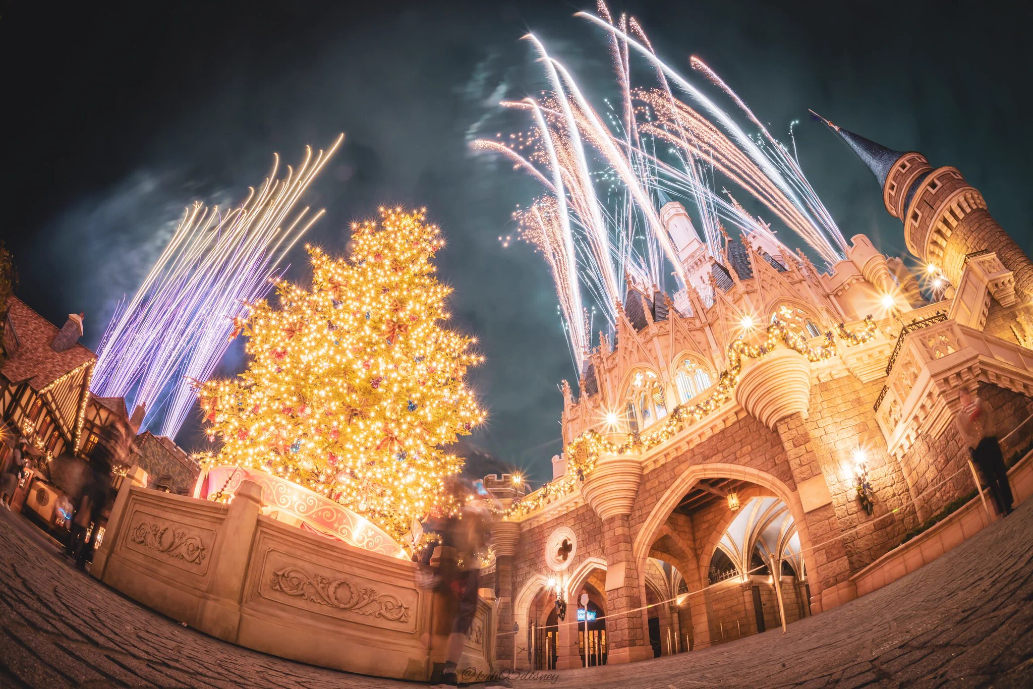 キラキラしているｗｗｗディズニーランドのクリスマス！行きたーいｗｗｗ