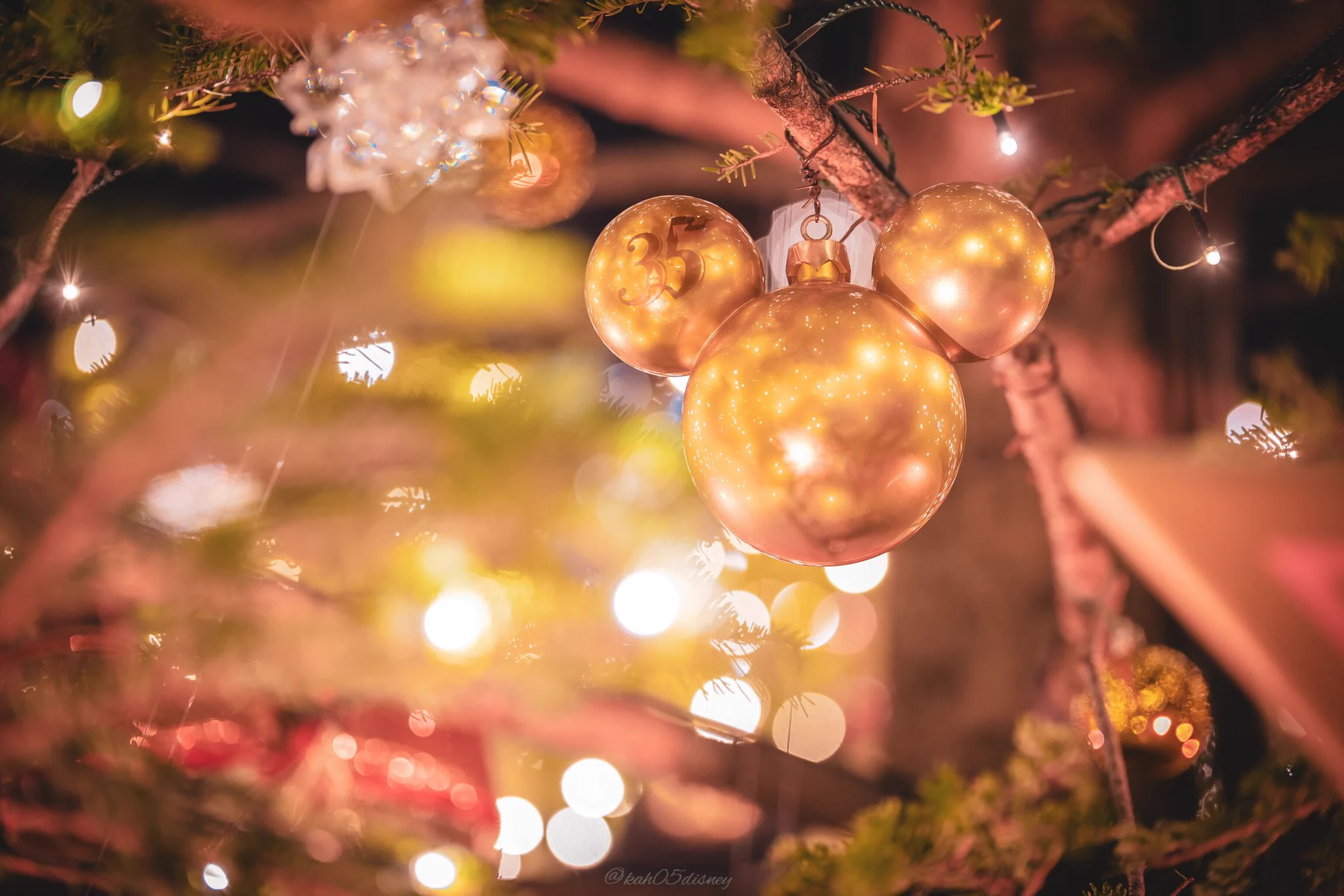 キラキラしているｗｗｗディズニーランドのクリスマス！行きたーいｗｗｗ