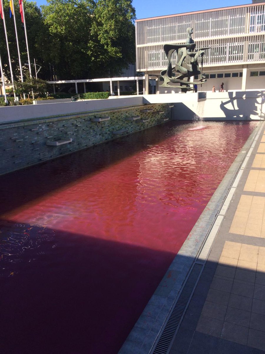 FECUdeC's tweet photo. 🔴 [DIFUNDIR] [UDEC]
Esta mañana, un grupo de manifestantes tiñeron de rojo la pileta del Foro de la Universidad de Concepción, en el marco del asesinato del peñi Camilo Catrillanca y la muerte de Alejandro Castro. 
#JusticiaParaCatrillanca
#JusticiaParaAlejandroCastro https://t.co/K2RB6w07rX