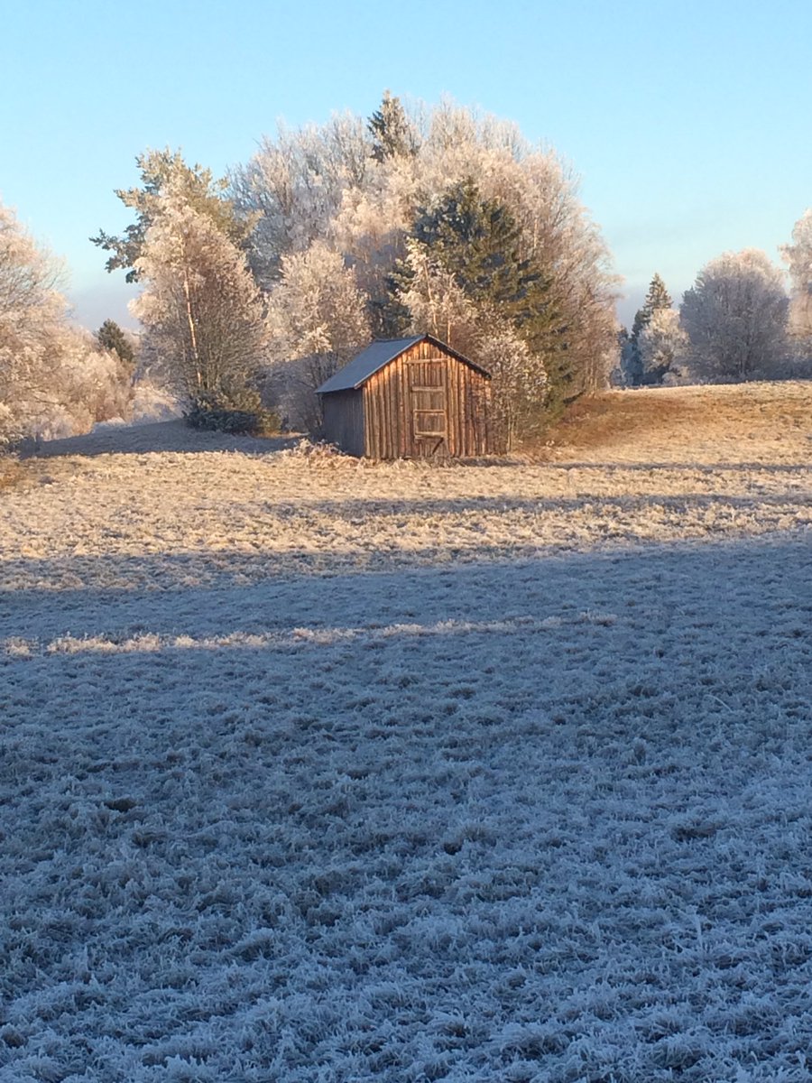 __HawkSty__'s tweet photo. #WinterIsComing #Sweden #photography https://t.co/Jh6PAbOxLl