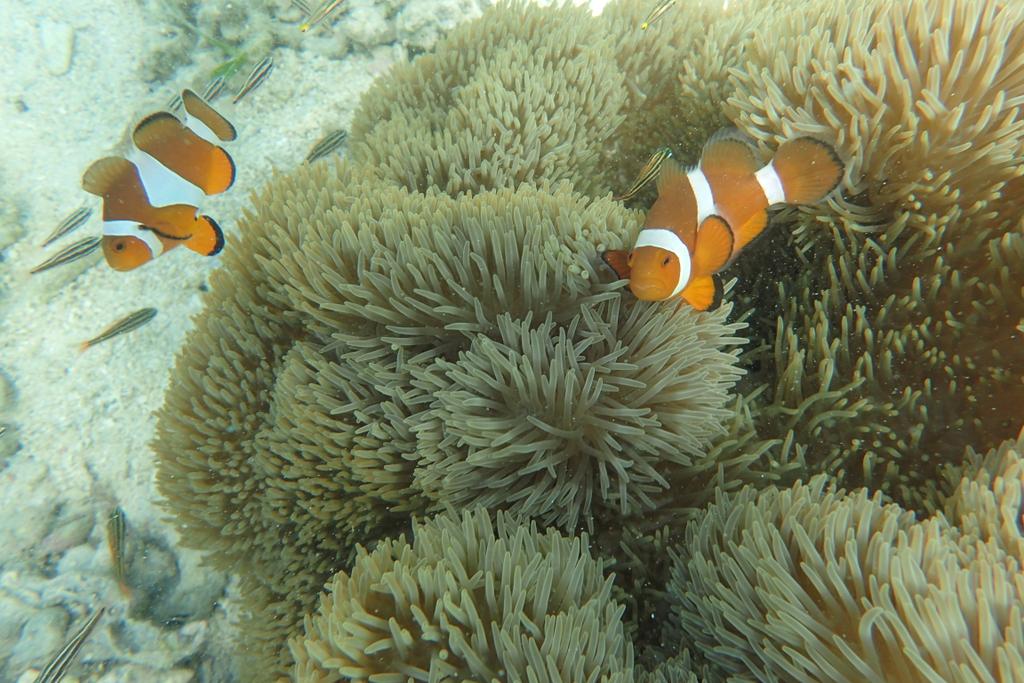 BPI SUCKS tweet media