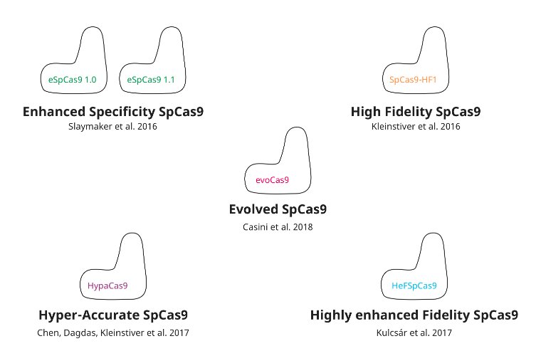 Desktop Genetics tweet media