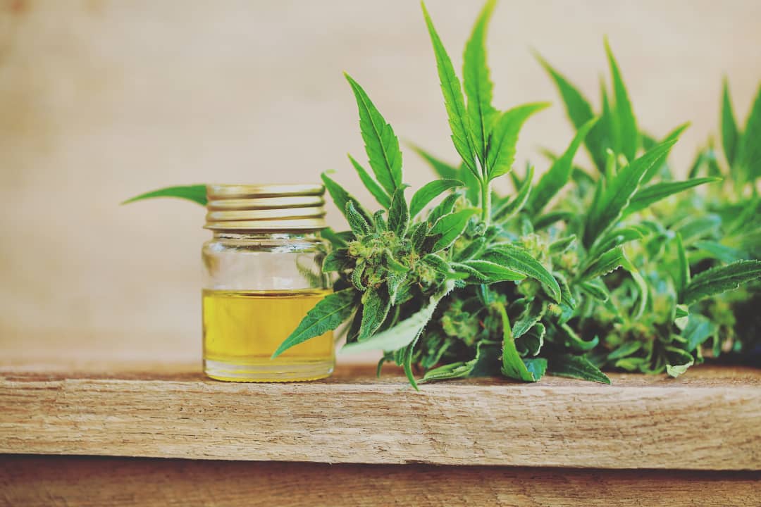 bilvaelemental's tweet photo. Quem gosta de cozinhar com cannabis vai curtir essa: dá para terpenar óleos e extrações, deixando cada receita com um sabor e aroma ainda mais especiais. 
.
.
#cooking #cannabiscook #terpenos #terpenospuros #saborearoma #boostyourhigh #terps #pureterps #terpenes #cannabis #strain https://t.co/mRdyEa9FcM