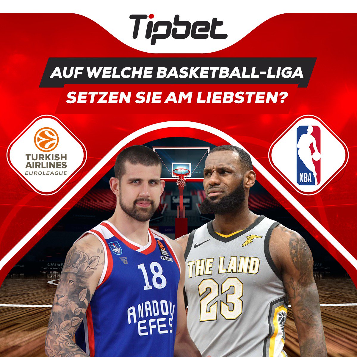 tipbet_de's tweet photo. Auf welche Basketball-Liga setzen Sie am liebsten? https://t.co/gyS7SRbUyZ