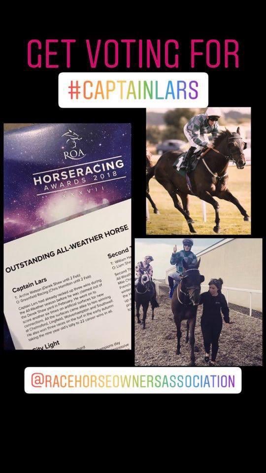 Archie_Watson's tweet photo. Great to see that Captain Lars has been nominated for the ⁦@RacehorseOwners⁩ Horseracing Awards Oustanding All Weather Horse! He has won an amazing 10 races this year at the age of nine, including 7 on the all weather, and has been a star for Saxon Gate! #lars #getvoting https://t.co/RJgfkq8gDg