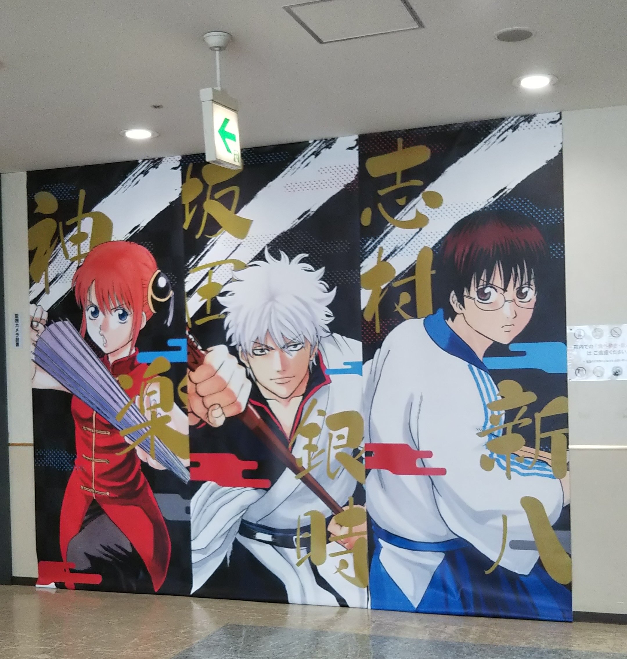 大銀魂展 - Search / X