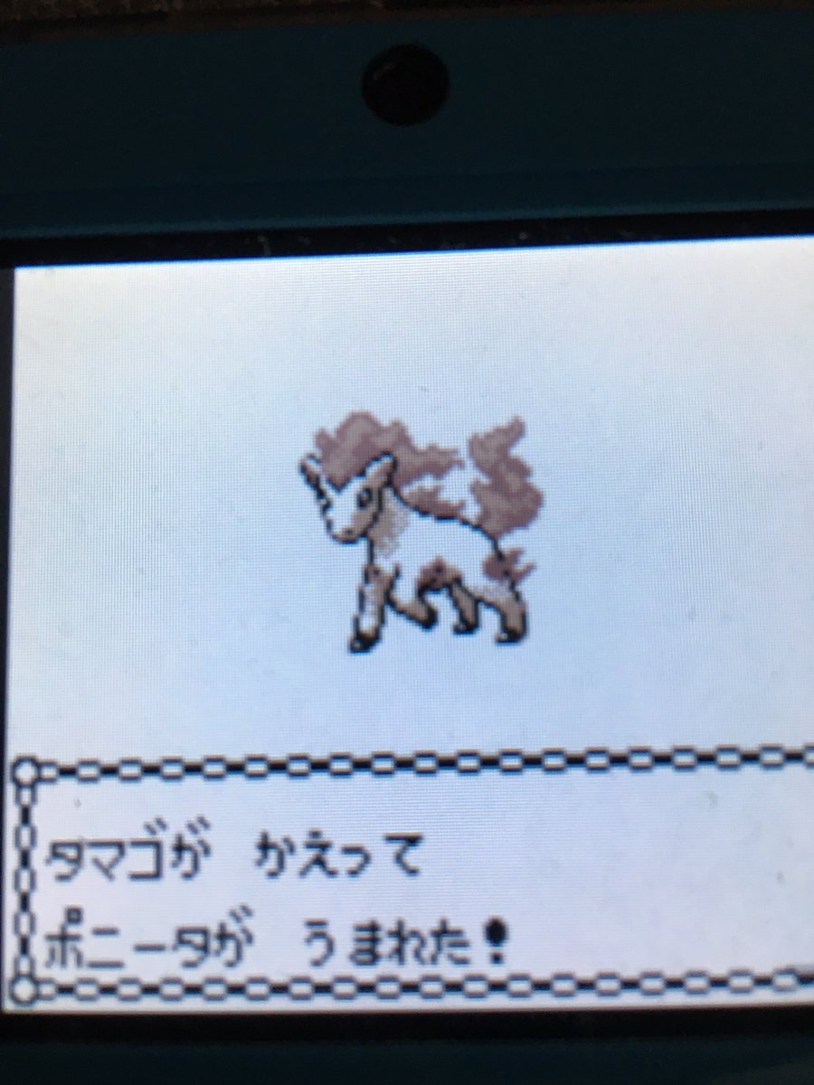 色違いポケモン紹介 Vc産ポニータ 自由に生きてあそblog