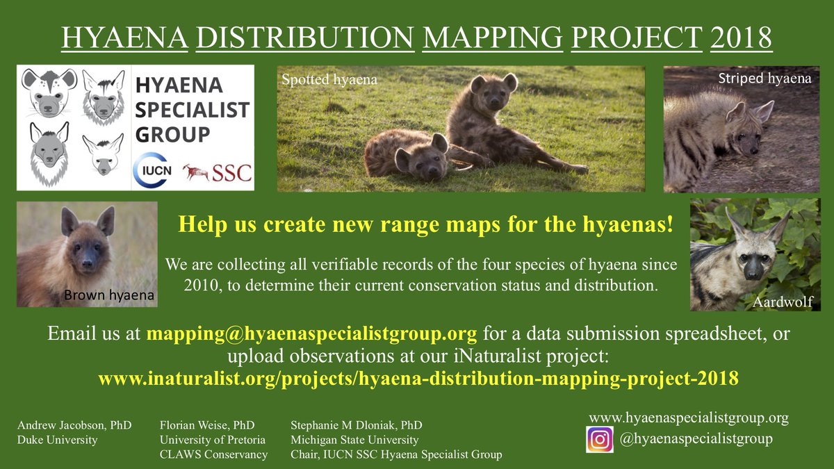 StephPeriquet's tweet photo. Gentle reminder to submit your hyaena observations details to @HyaenaSG to help updating Hyaenidae distribution!! https://t.co/tposfran1s