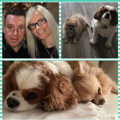 Tony Carlin tweet media