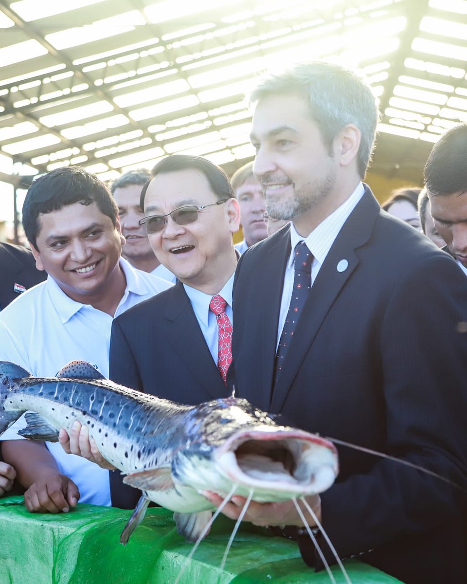 PresidenciaPy's tweet photo. 👉🏽WEB | En marcha proyecto de producción de alevines y cultivo de surubí en Paraguay
🔗https://t.co/w98xOgBrAH https://t.co/pnAWhuWm7S