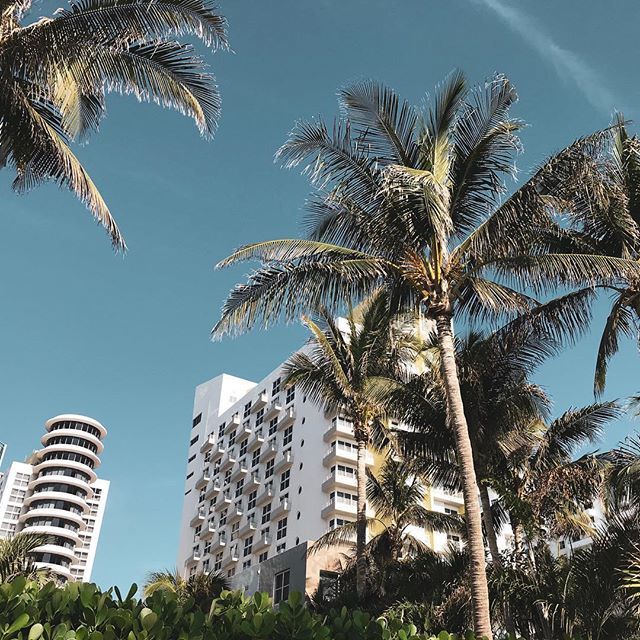 akaguglielmo's tweet photo. Bella raga! Sono a Miami!!!
No, non è vero.
È che il meteo di Milano in questi giorni è deprimente, quindi mi rallegro guardando vecchi scatti.
•
•
•
•
•
#summertime #holidays #miamibeach #summervibes #southbeach #beachvibes #summerstyle #summerf… https://t.co/5nG0YtkzcF https://t.co/0Y8Qkjv1pn