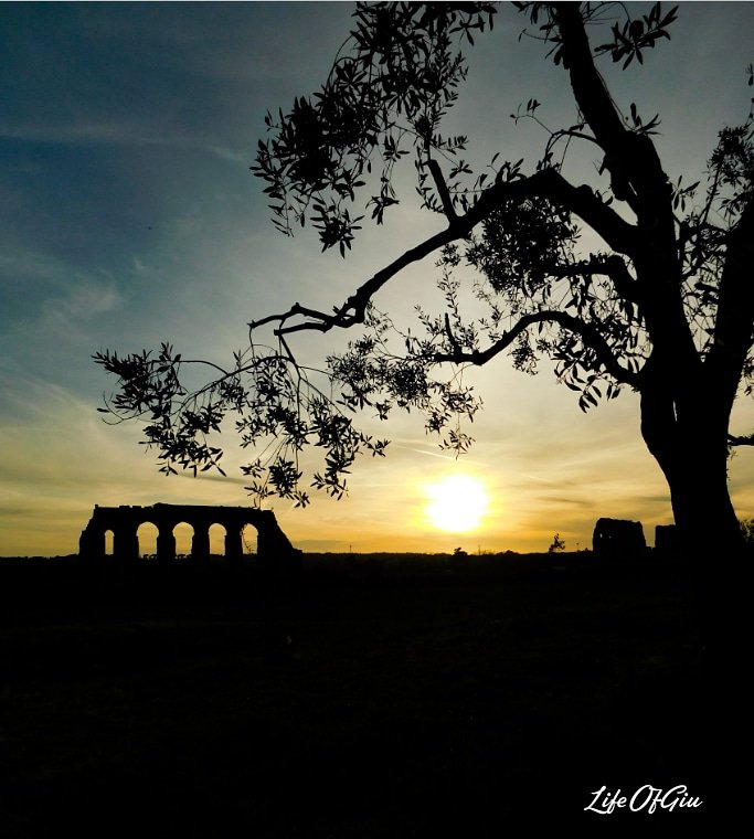 GiuliaVillani95's tweet photo. Special #sunset in Rome 🌄
https://t.co/9GOVCJdt3Z

#landscape #nature #photography #Nikon https://t.co/ZWQOLo0wKb